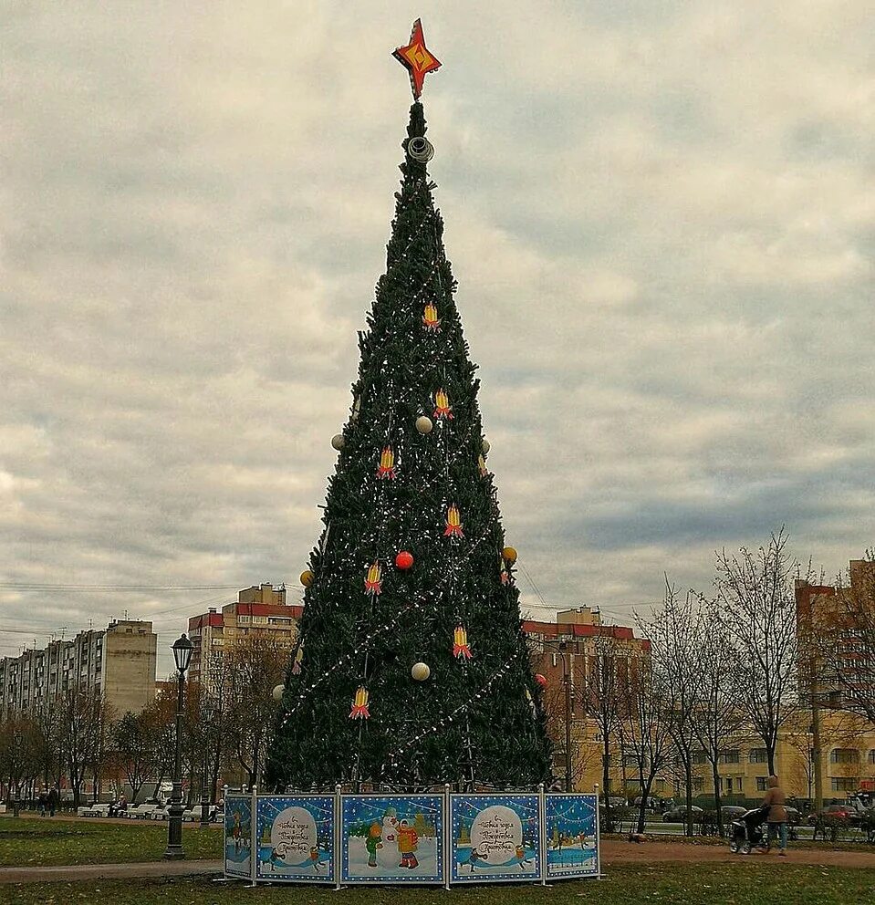 Какую елку поставили
