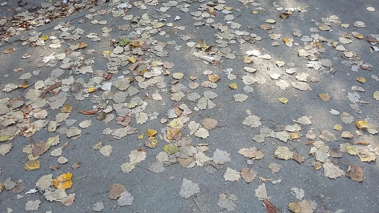 Ворох под. Ворох листьев.
