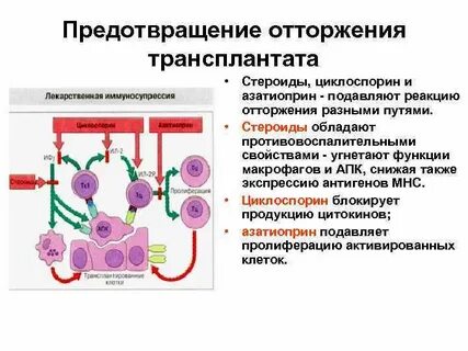 Период отторжения
