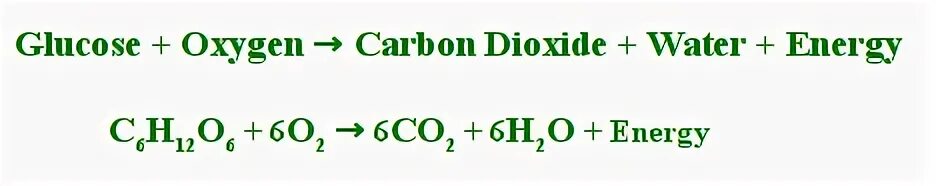 Глюкоза кислород вода энергия. Глюкоза и кислород. Глюкоза и кислород реакция. Уравнение Глюкоза плюс кислород. Глюкоза и кислород для мозга.