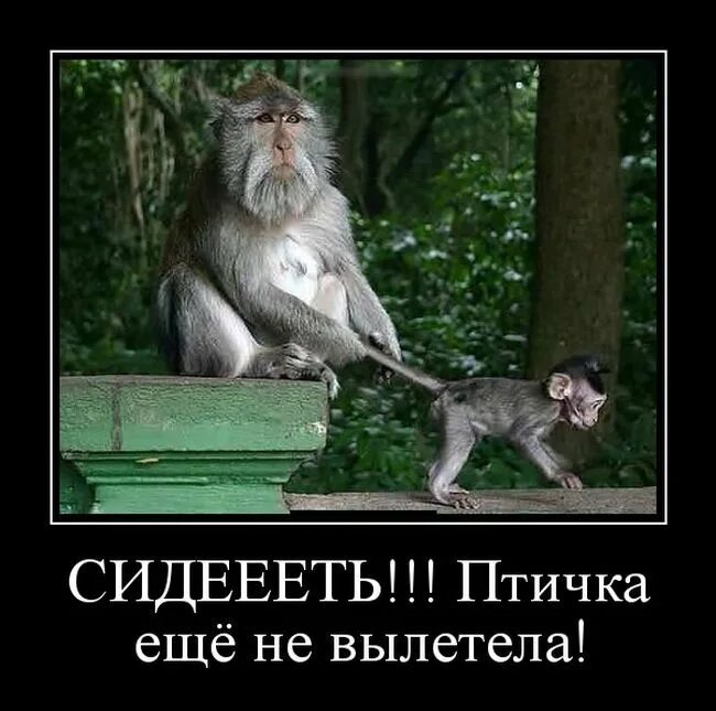 Эволюция технологий. Прогресс идет. Эволюция технологий человечества. Регресс общественного развития. Карьерная лестница.