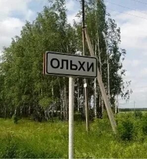 Ольхи рязанская область