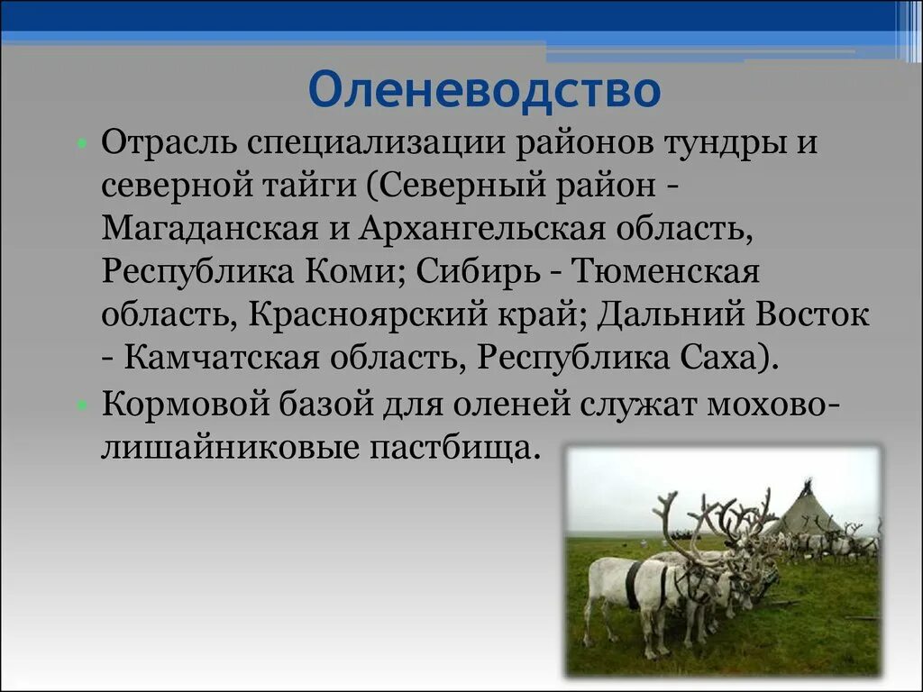 Овцеводство отрасль специализации. Оленеводство отрасль специализации. Отрасль сельского хозяйства оленеводство. Оленеводство презентация. Скотоводство оленеводство в России.