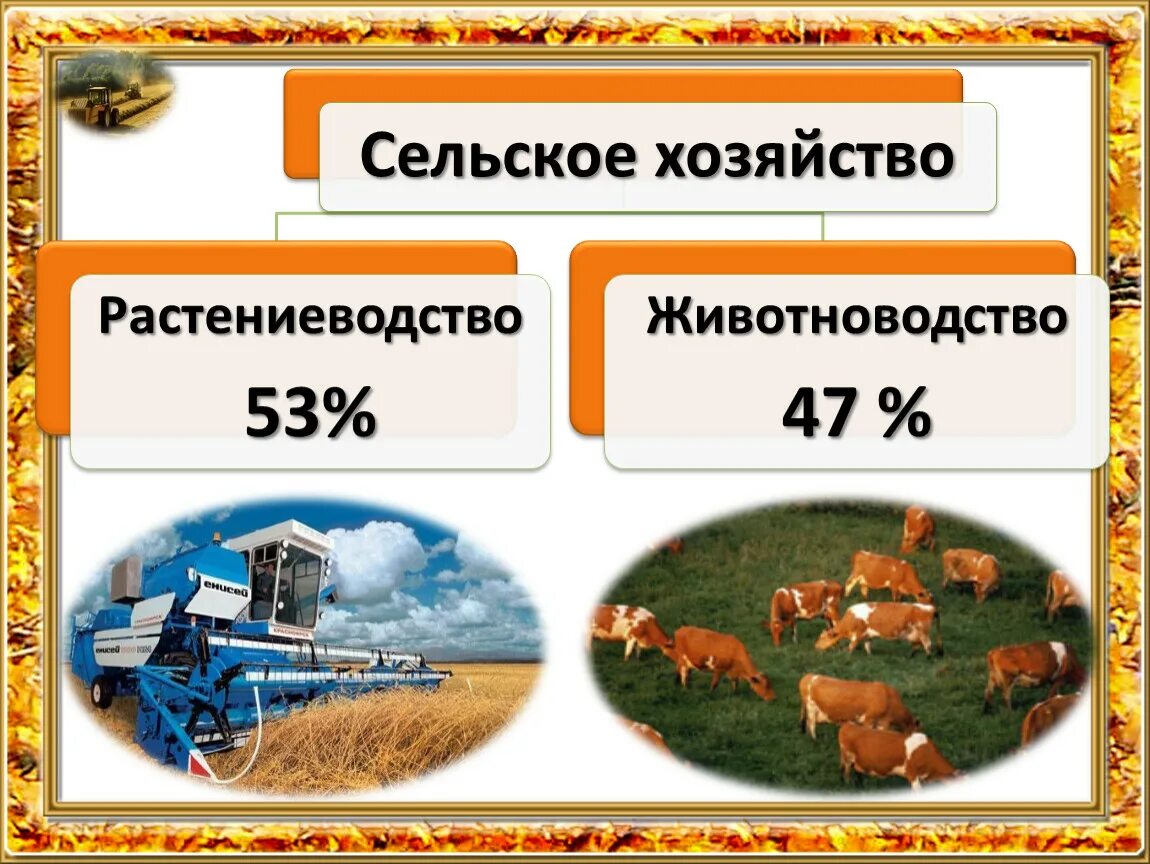 Сельское хозяйство для презентации. Растениеводство презентация. Отрасли сельского хозяйства Казахстана. Сельское хозяйство Казахстана презентация. Схема связи растениеводства и животноводства и промышленности