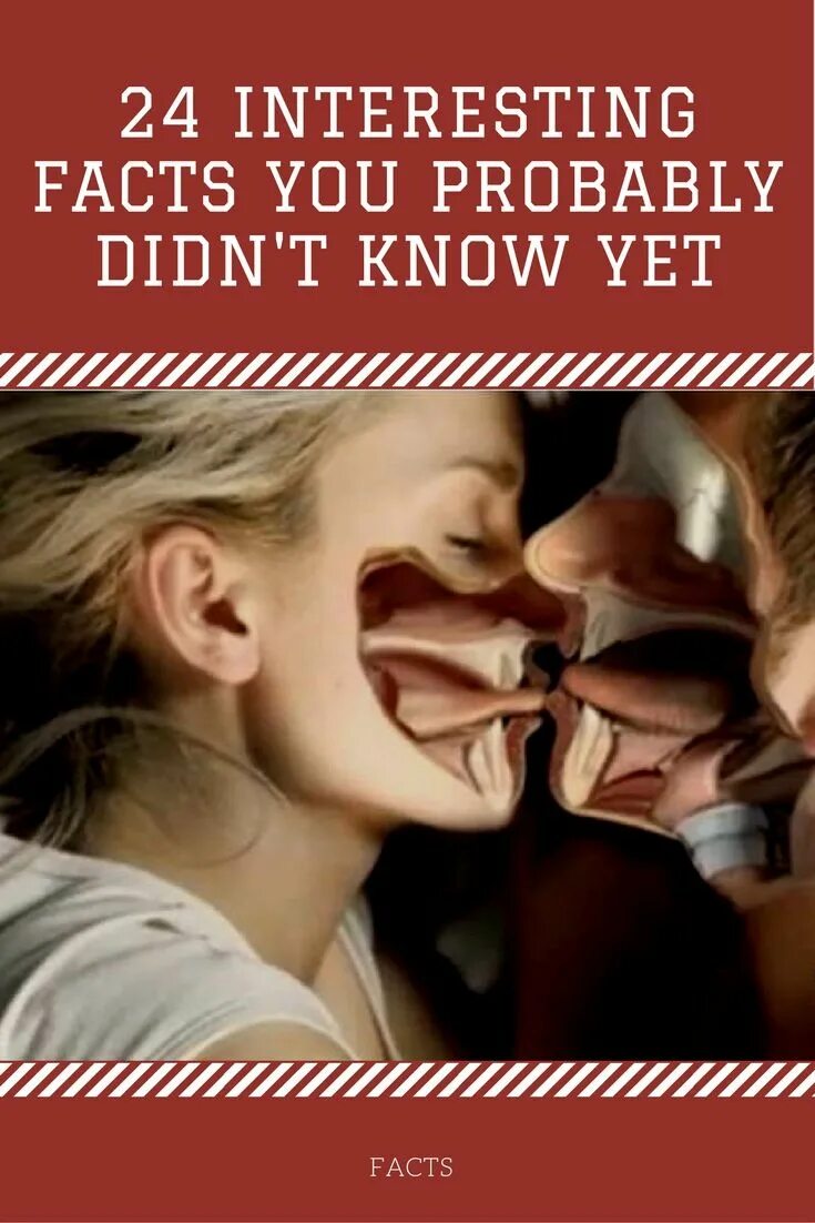 Как выглядит поцелуй внутри Pin by Ivana Pavlicevic on All is about love I kissed a girl, Lovey dovey, Reali