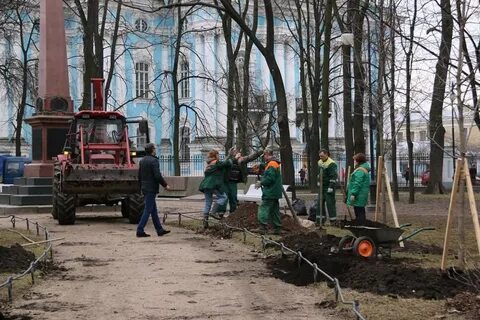 Посадки спб