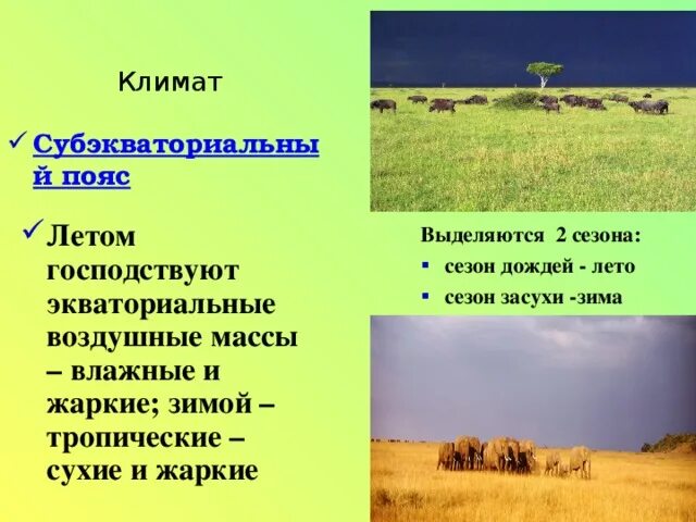 арктические воздушные массы. тропический климатический пояс климатические воздушные массы. сравните арктические и тропические воздушные массы какую. воздушные массы земли. климатические пояса.