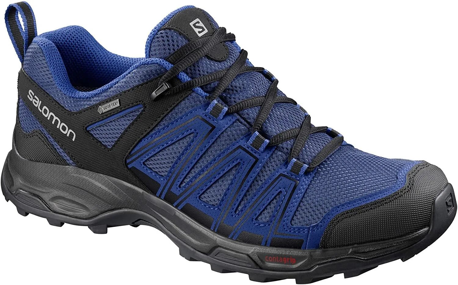 Salomon GTX. Salomon Gore Tex кроссовки. Кроссовки Salomon XT Tucana GTX Gore-Tex. Кроссовки salomon gtx мужские