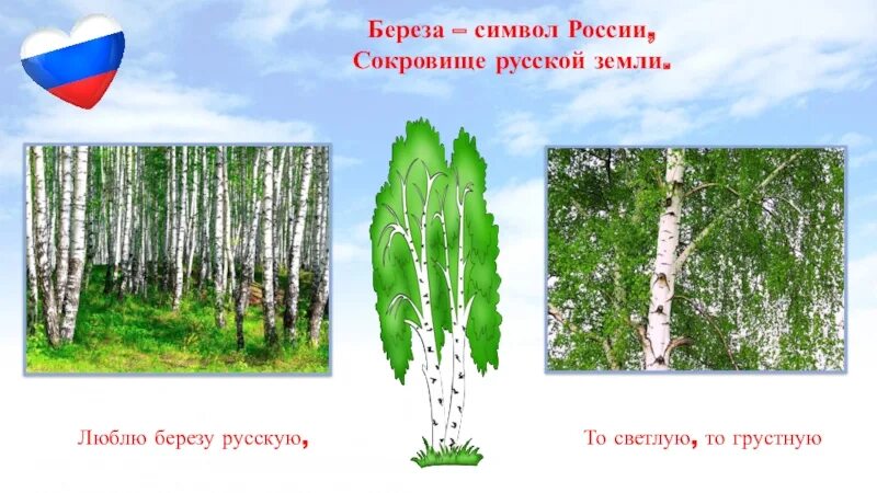 Береза символ россии презентация. Русская берёзка символ России. Символ России Березка для детей дошкольного возраста. Береза символ России. Береза символ.