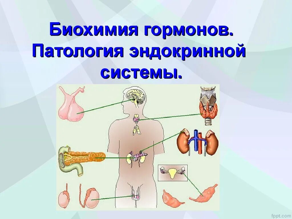 Гормоны эндокринной системы. Патологии эндокринной системы. Биохимия эндокринной системы. Общая патология эндокринной системы.