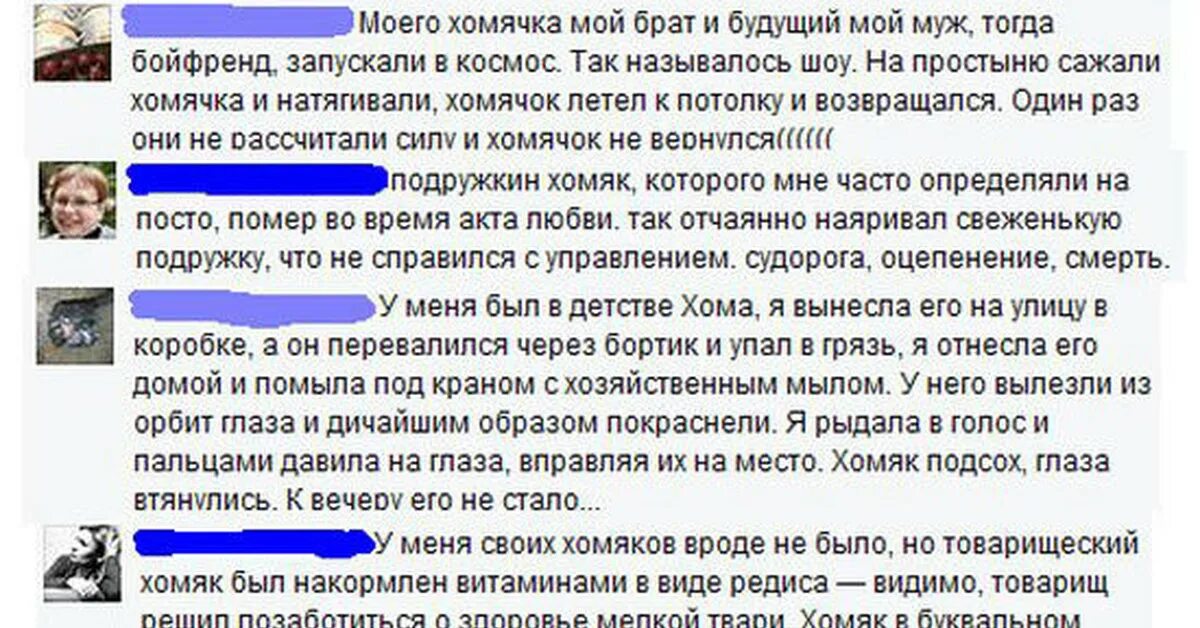 Самые глупые истории. Забавные смерти хомяков. Нелепые истории смерти хомяка. Смешные истории про смерть хомячков. Смерть хомяка истории.