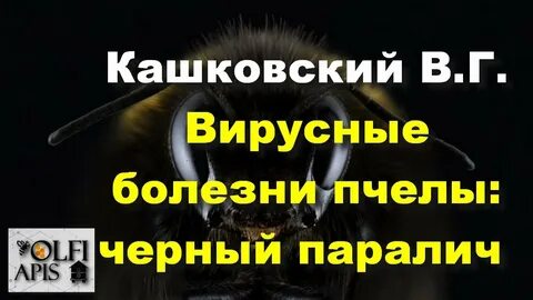 Паралич пчел