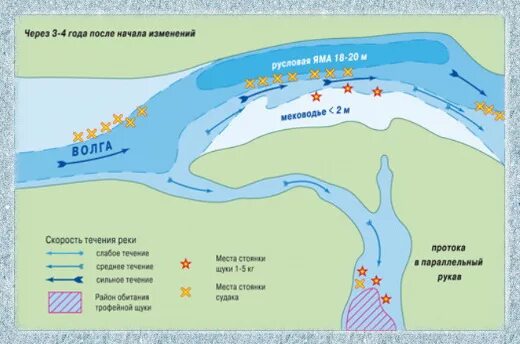 Места ловли щуки на реке. Места ловли сома. Места обитания щуки на реке. Стоянки судака на реке. Направление течения рыбы определяют