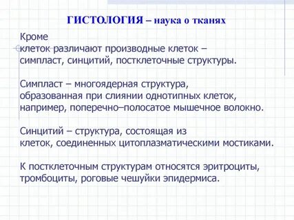 Симпласты межклеточное вещество