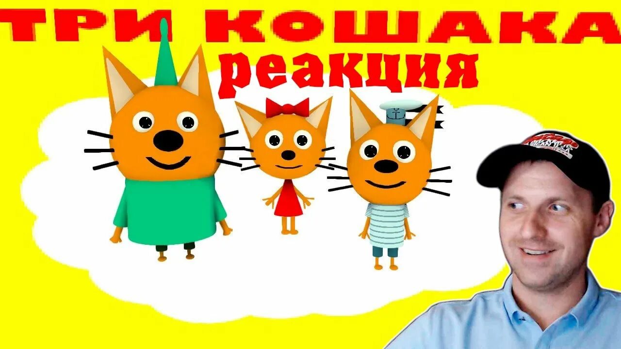 Включи про кошар. Три кошара два кошара и одна кошка. Три кота кошары. Включи про кошар. Три кошары наводят суету.