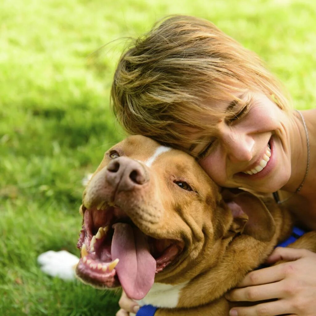 Лабрадор и немецкая овчарка. Дружба детей и собак. Собака для детей. Щенки не поделили косточки. Радостная собака.