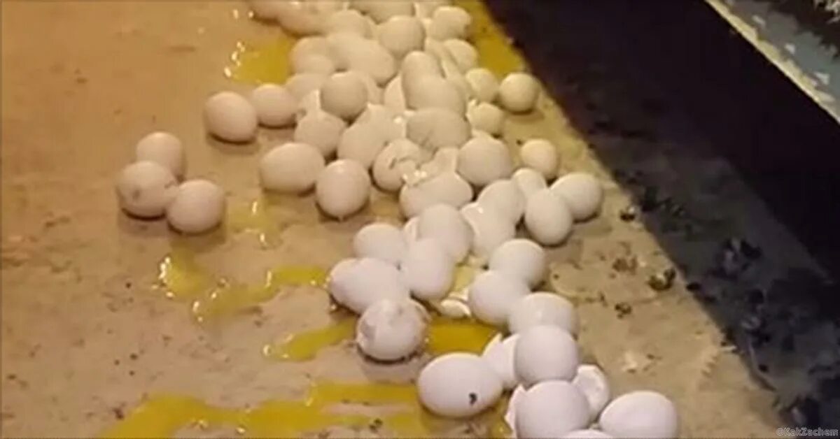 Много разбитых яиц. Разбитые куриные яйца. куча разбитых яиц. разбитое яйца в магазине.