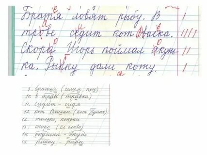 Какие ошибки отметил учитель в работе сережи