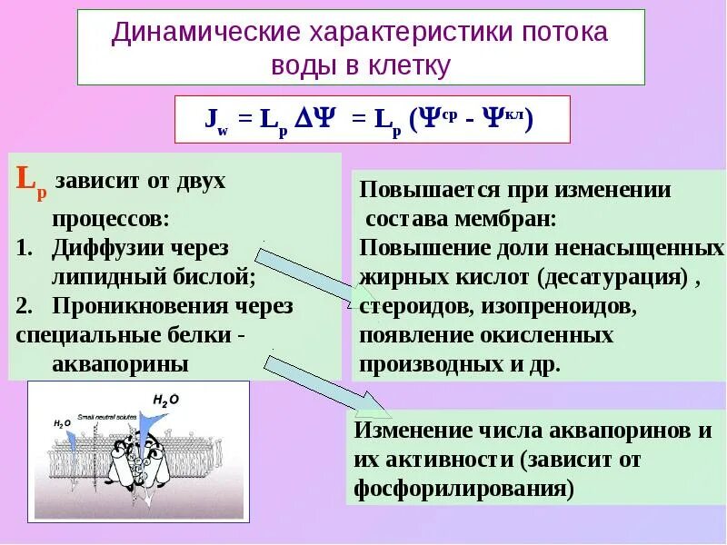 динамические потоки. поток жидкости это в гидравлике. параплан восходящий поток. два режима движения жидкости. трансаортальный поток измерение.