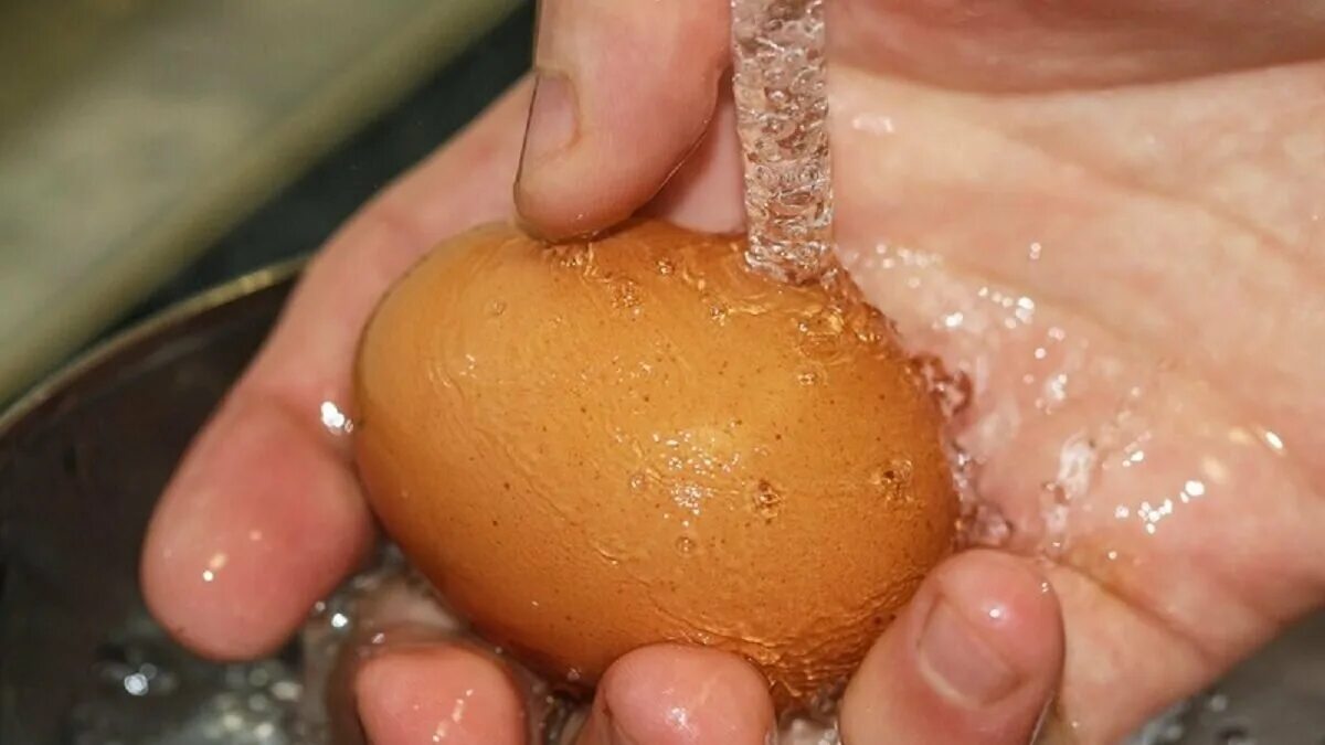 Моют ли яйца перед инкубацией. Мытье яиц. Мытые яйца. Помыть яйца. Помыть куриные яйца.