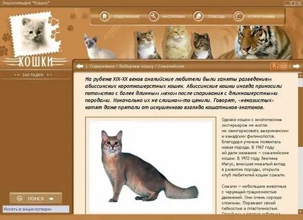 Классификация кошки