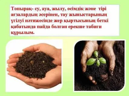 Ең ылғалды жер