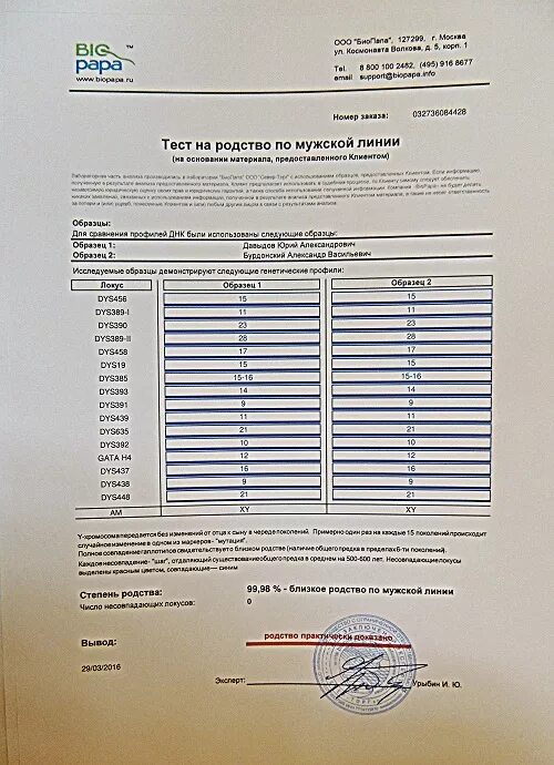 Тест на отцовство для суда. Положительный тест ДНК на отцовство. Результаты теста ДНК на родство. Результат генетической экспертизы. Бланк ДНК теста на отцовство.