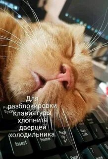 Прикол для поднятия настроения утром