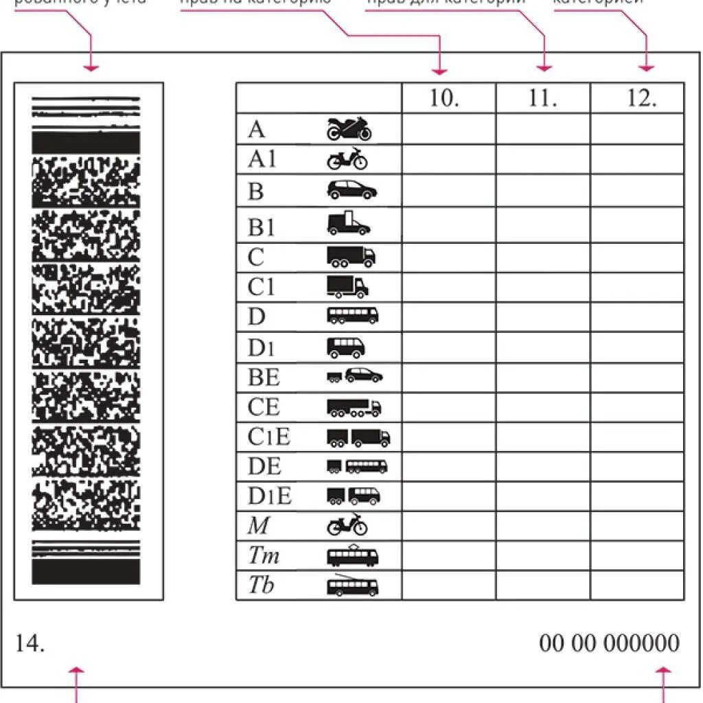 Расшифровка категорий и подкатегорий. Обозначение категории водительских прав а1. Категория м, а1,в1,с1.