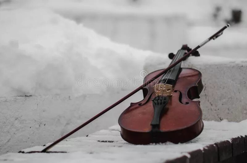 Скрипка во льдах. Скрипач зимой. Скрипка на снегу. Скрипка зима. Виолончель в снегу.