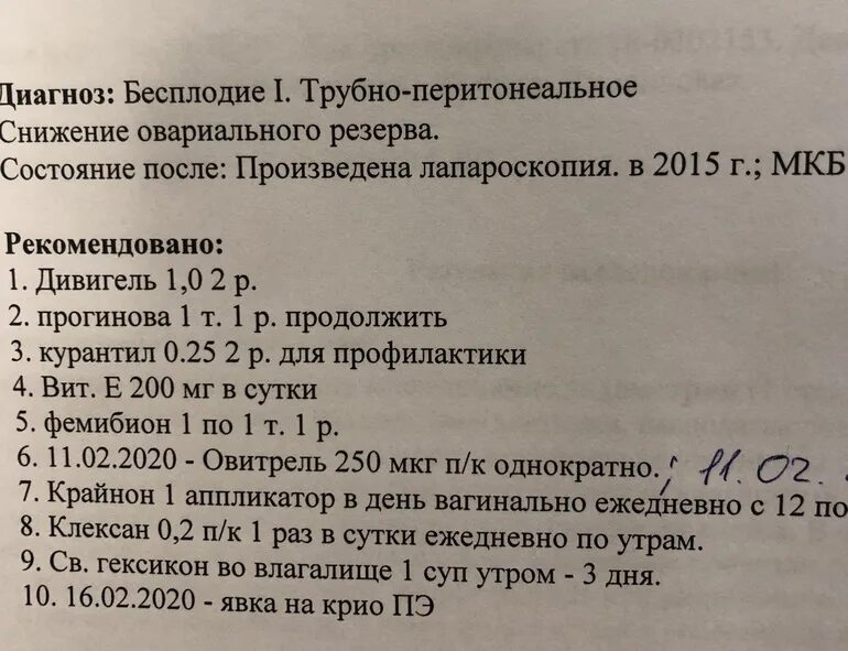 Эко криоперенос форум. Схема криопротокола на ЗГТ. Криоперенос протокол. Криопротокол на ЗГТ по дням. Криоперенос в цикле на ЗГТ.