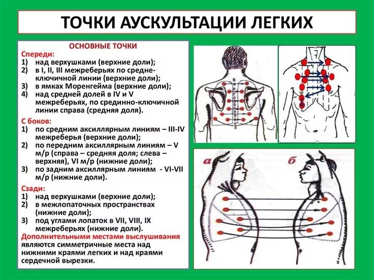 Аускультация. Порядок проведения аускультация спереди. Аускультация легких порядок проведения. Методы аускультации. Аускультация.