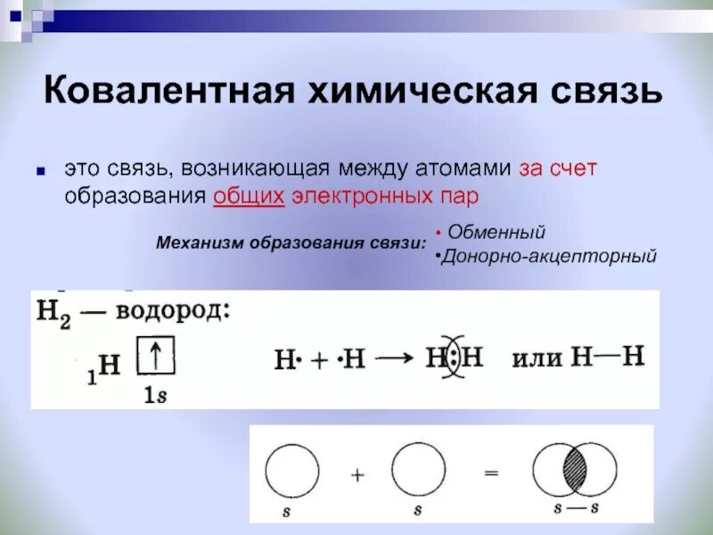 Между какими элементами образуется