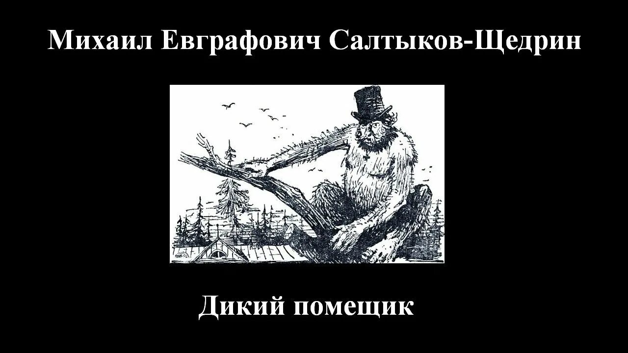 Сказка Щедрина дикий помещик. Сказка Салтыкова Щедрина дикий помещик. Салтыков Щедрин глупый помещик. Щедрина дикий помещик слушать