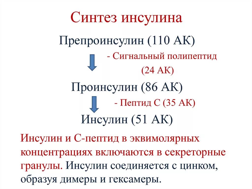 Синтез инсулина последовательность. Схема образования инсулина биохимия. Схема синтеза инсулина. Основные этапы синтеза инсулина. Схема строения инсулина биохимия.