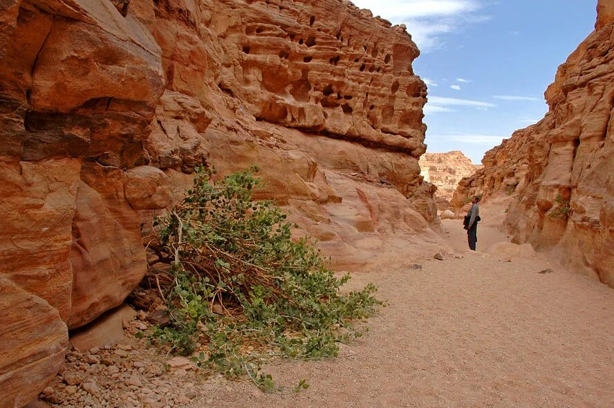 Каньон Салама Египет. Шарм-Эль-Шейх каньон красный. Цветной каньон Шарм-Эль-Шейх. Нувейба Египет каньон. Каньон шарм эль шейх