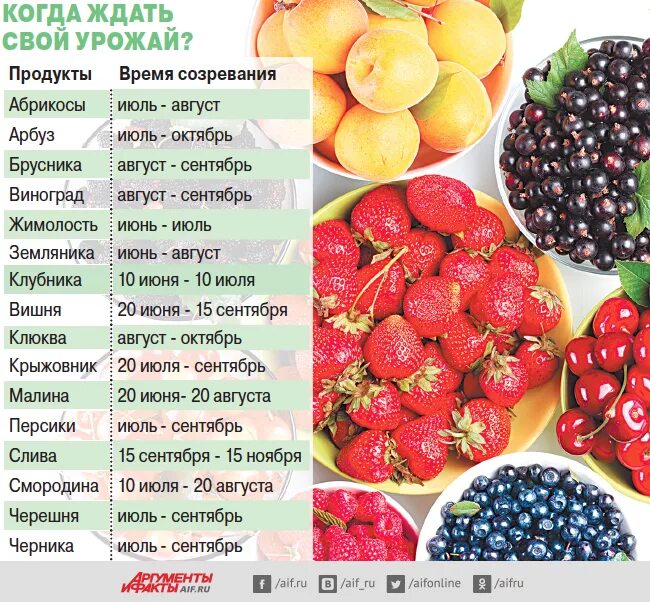 Какие ягоды фрукты в июне. Ягоды по месяцам таблица. Сезонные ягоды. Список самых полезных ягод. Фрукты и ягоды список.