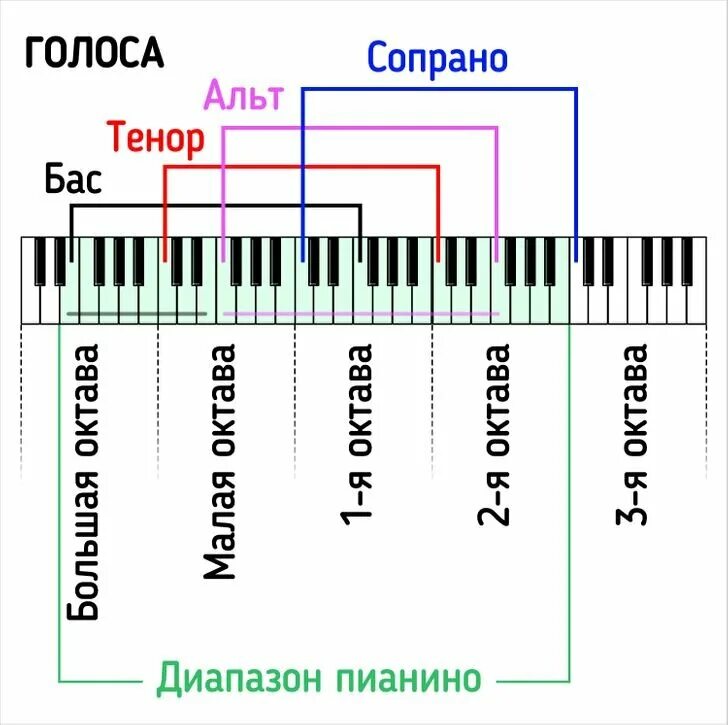 Сколько октав берет