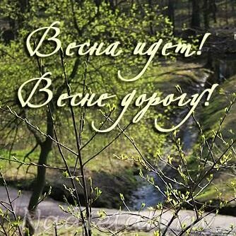 Цветущий пень. И даже пень в апрельский день. Березкой снова стать мечтает. И даже пень в апрельский день. Стих весне дорогу.