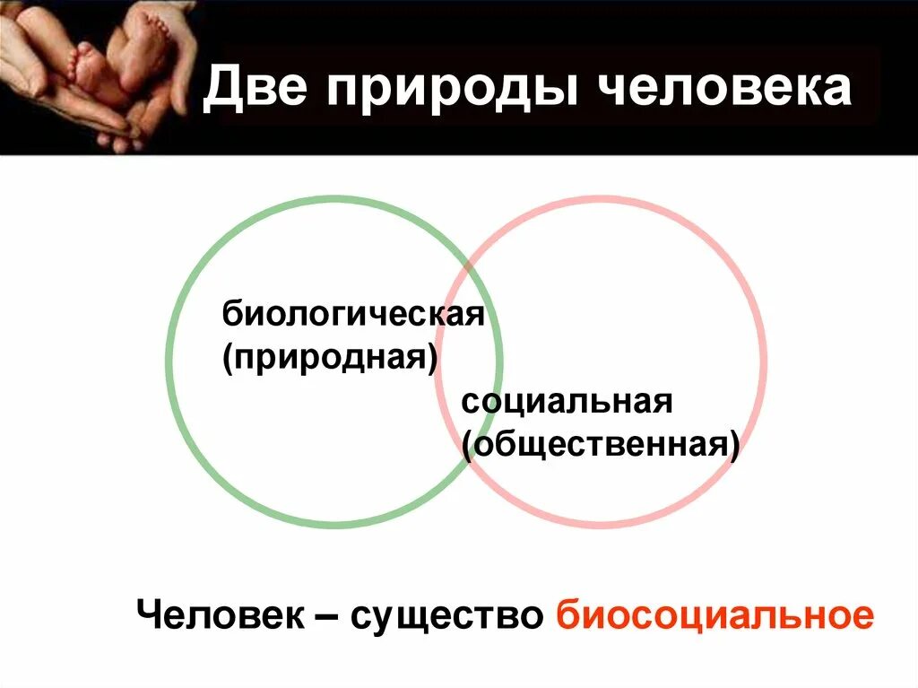 Человек является социальным человеком. Человек как биологическое и социальное существо. Биологическая природа человека. Человек существо социальное презентация. Биологическое и социальное в человеке схема.