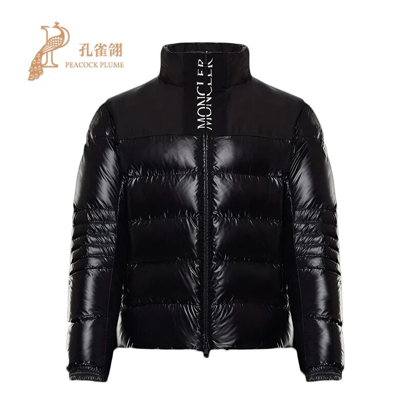 Монклер мужские. Moncler пуховая куртка bruel. пуховик moncler мужской 2019. куртка монклер мужская 2017. пуховик монклер мужской оригинал.