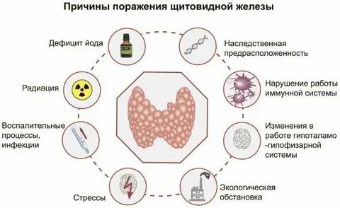 Факторы риска эндокринной системы
