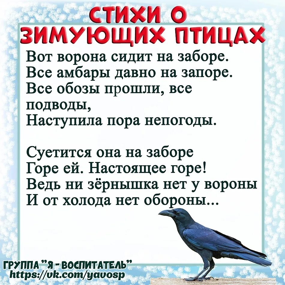 Зимующие птицы. 15 Января день зимующих птиц. Тема недели зимующие птицы. Картотека зимующие птицы.