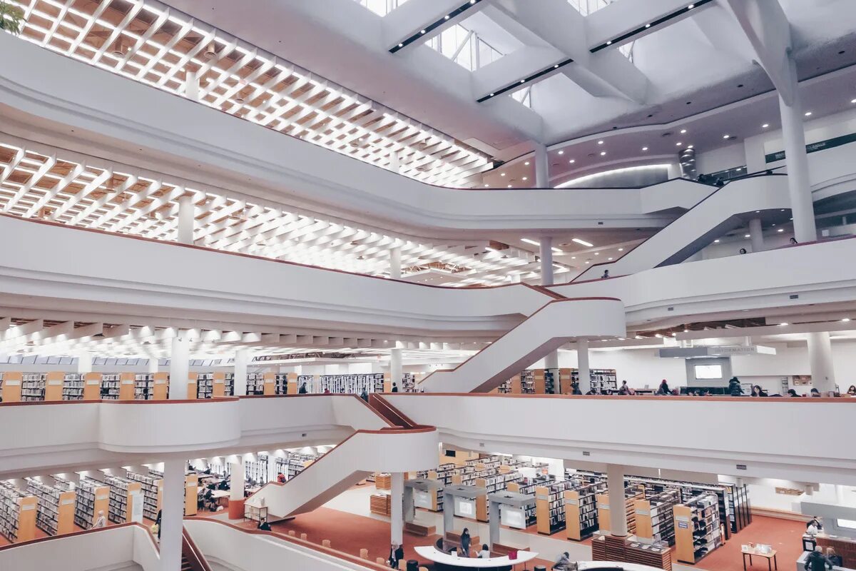 Toronto reference Library. Публичная библиотека в Торонто. Библиотека референс. Библиотека Торонтского университета. Referenced libraries