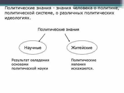 Политические знания примеры
