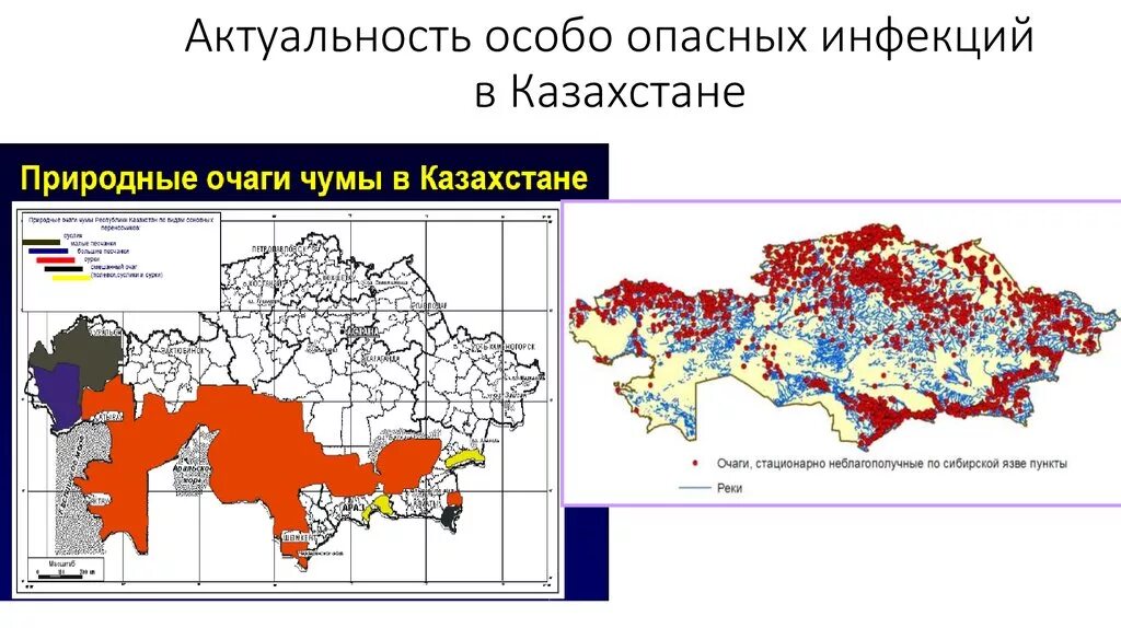 Чума в казахстане