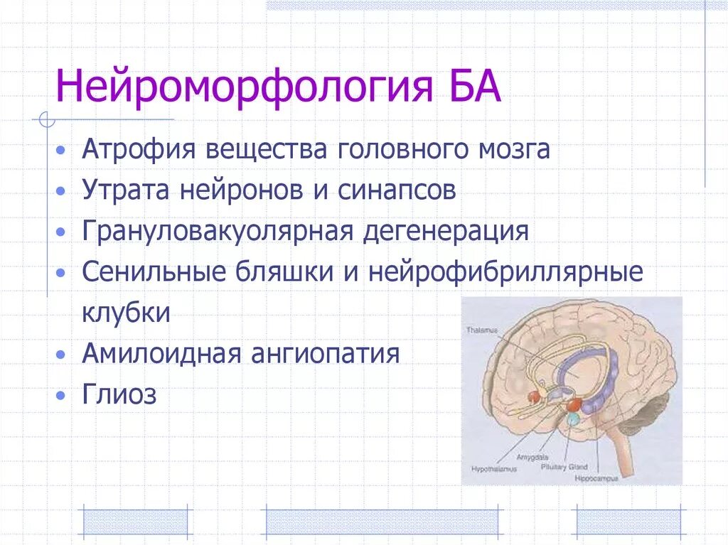 Атрофия головного мозга лечение. Атрофия вещества головного мозга. Атрофия извилин головного мозга.