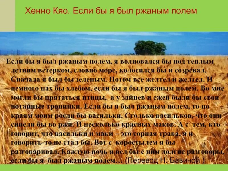 Сочинение про поле. Описание поля. Описание поля сочинение. Русское поле сочинение.