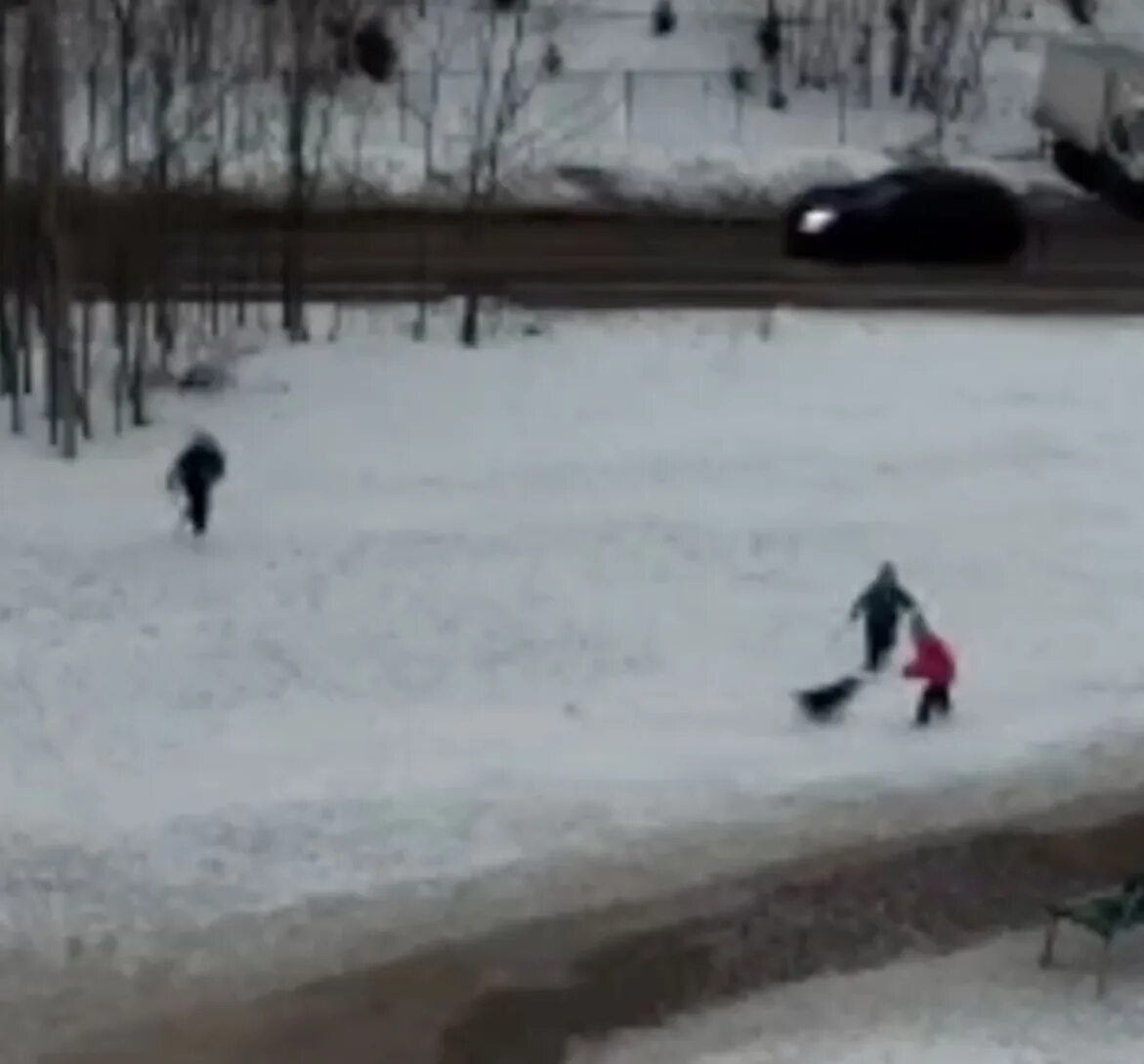 Кадры с места нападения собак Хабаровск. Нападения собак в Нижнем Новгороде. Нападение собаки фото 9:16. Нападение собак видео