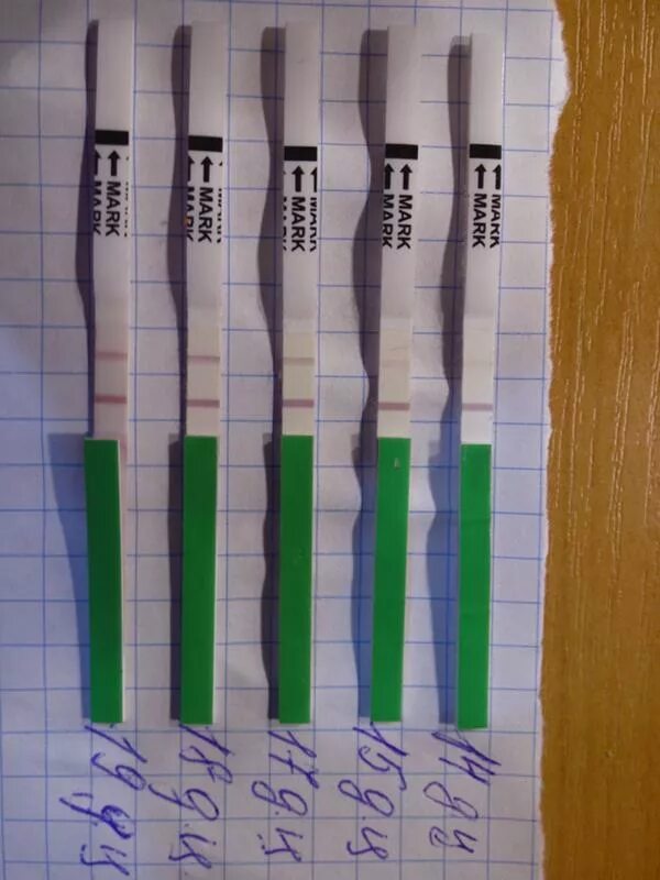 Тест на овуляцию. Тест на овуляцию после овуляции. Овулаятсия тест на беременность. Тест на овуляцию и беременность. Есть ли овуляция при приеме